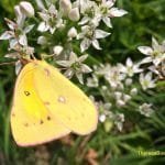 You may not think you are changing the world, but in small, mundane ways you are doing important things that make a great impact on others. Learn how. #encouragement #mothering #daily tasks #humor #work