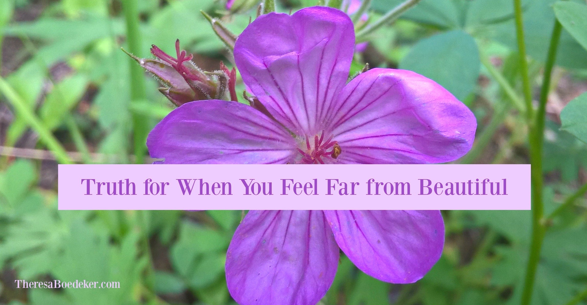 truth-for-when-you-feel-far-from-beautiful-theresa-boedeker