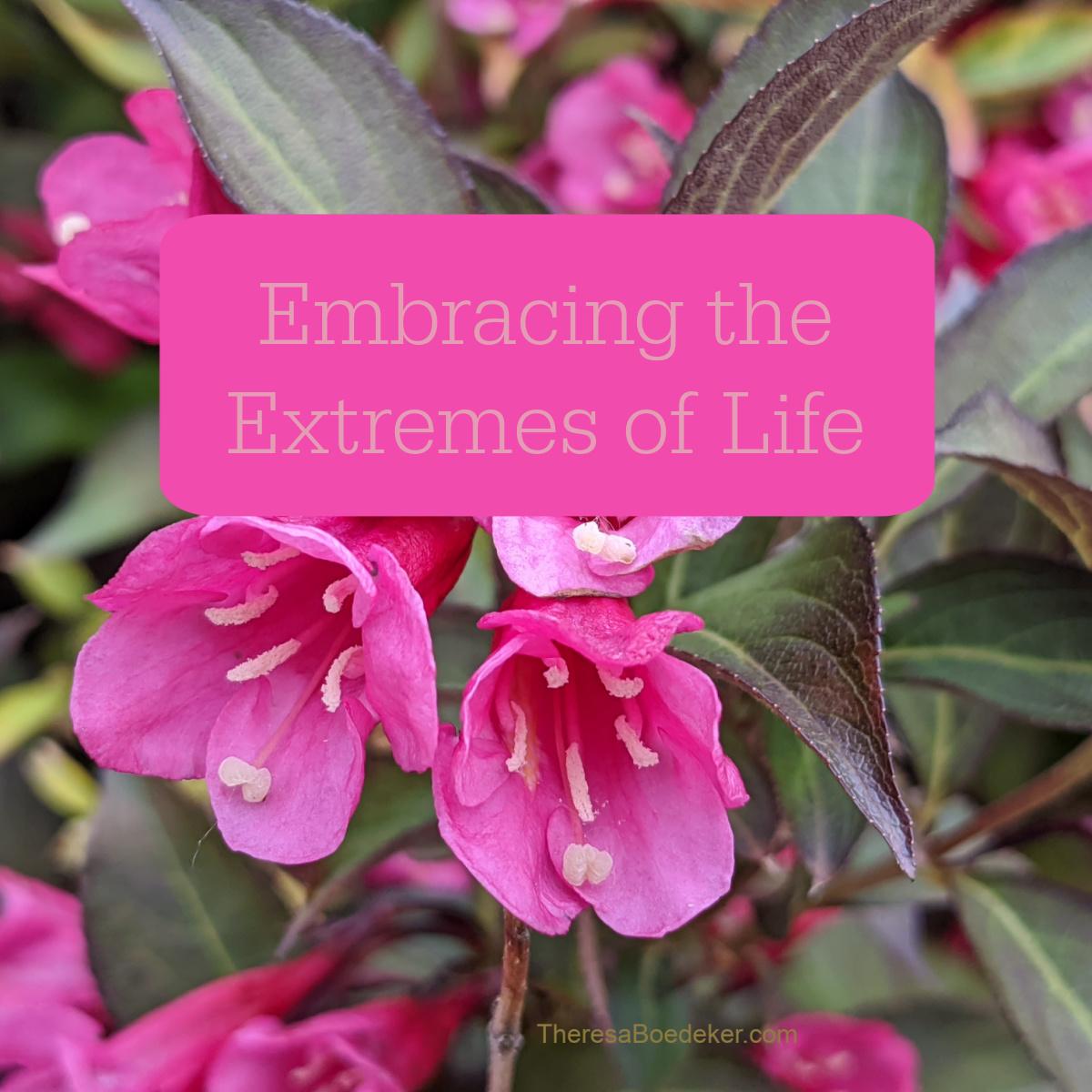 Embracing the Extremes of Life: How and Why We Can Do This - Theresa ...