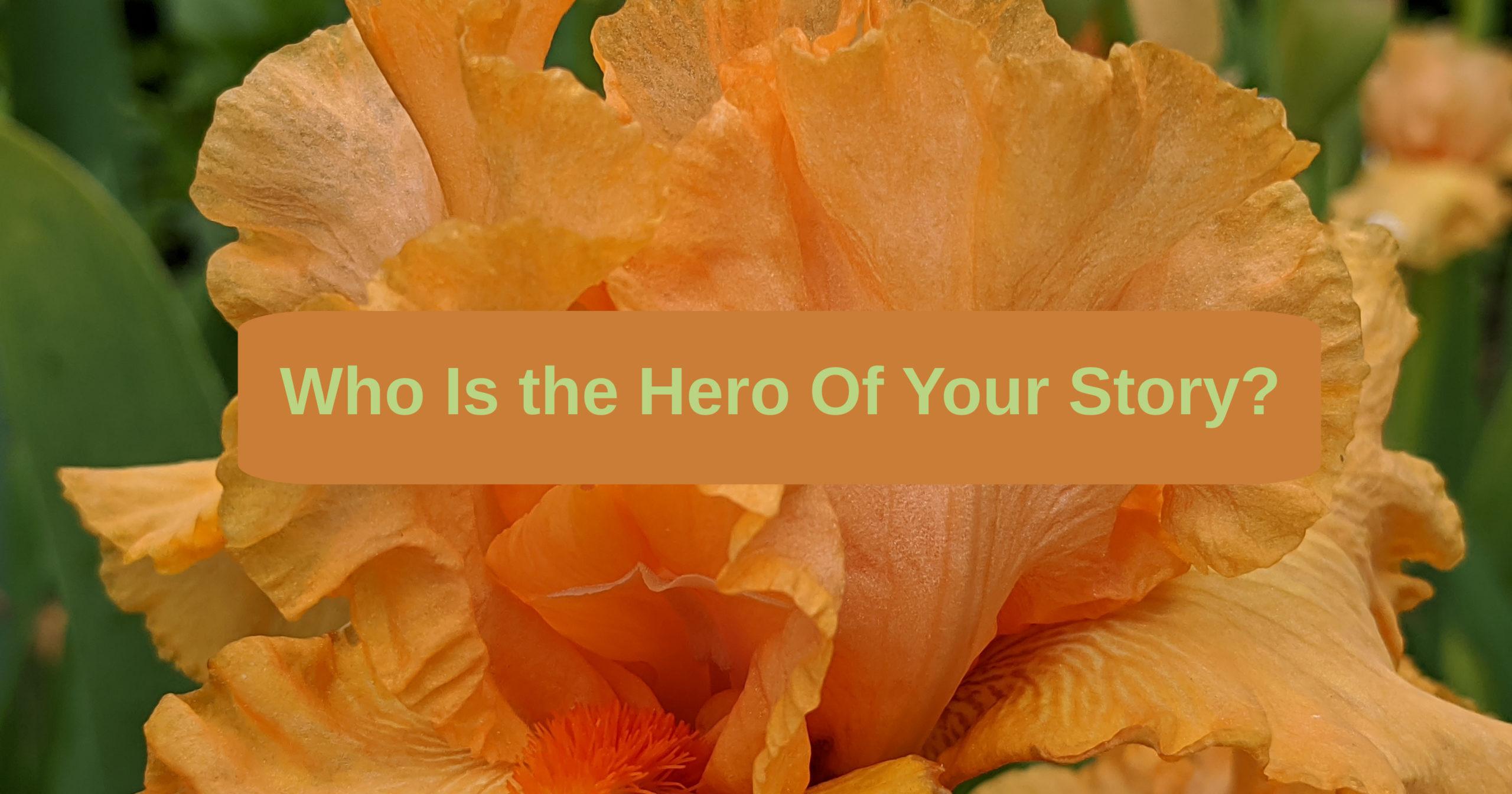 who-is-the-hero-of-your-story-theresa-boedeker