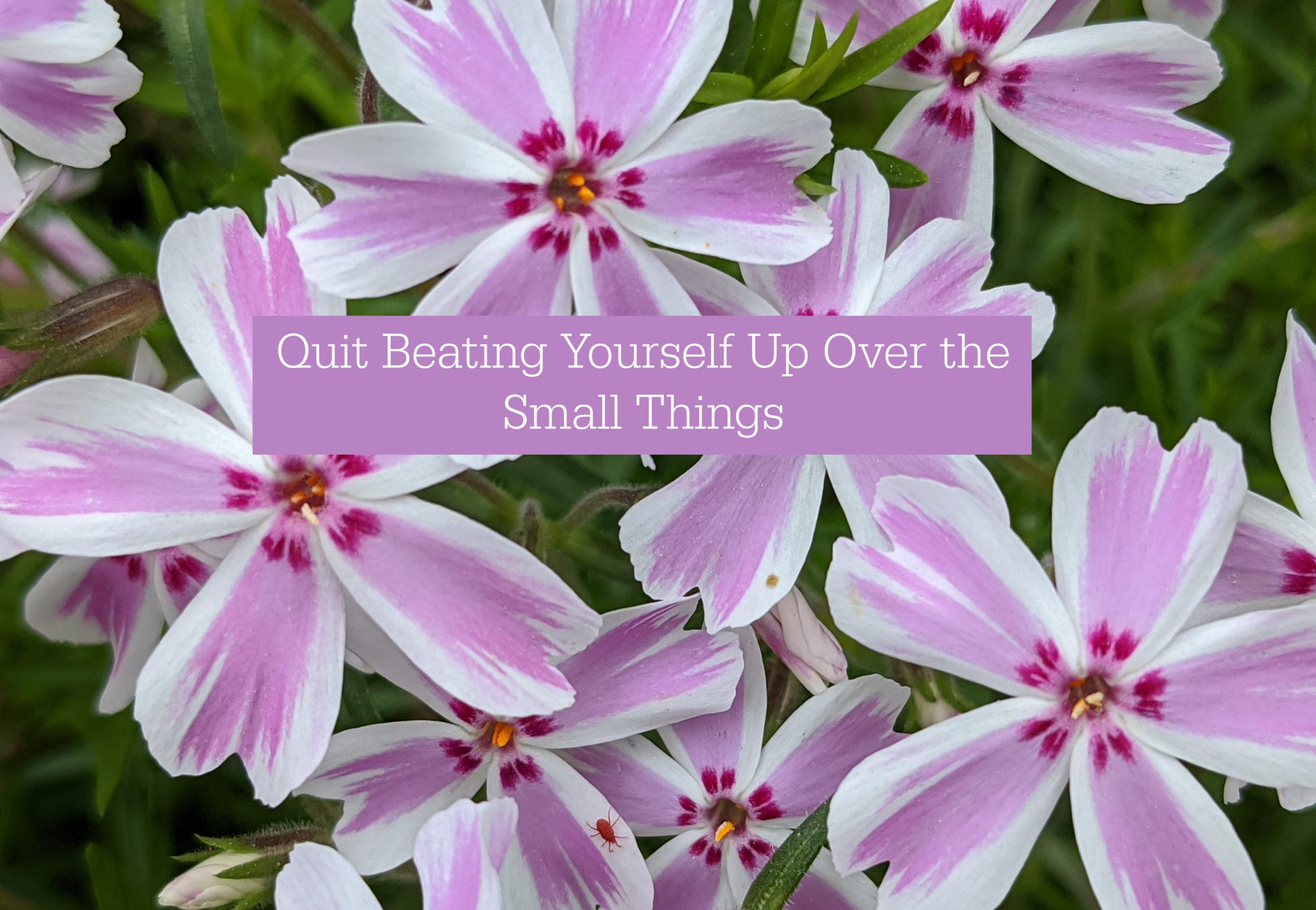 quit-beating-yourself-up-over-the-small-things-theresa-boedeker