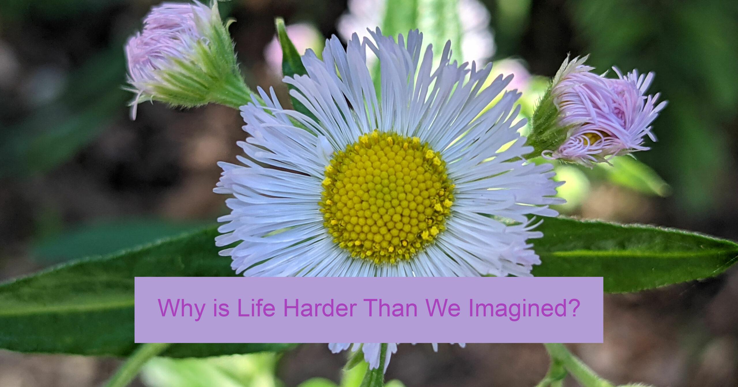 why-is-life-harder-than-we-imagined-theresa-boedeker