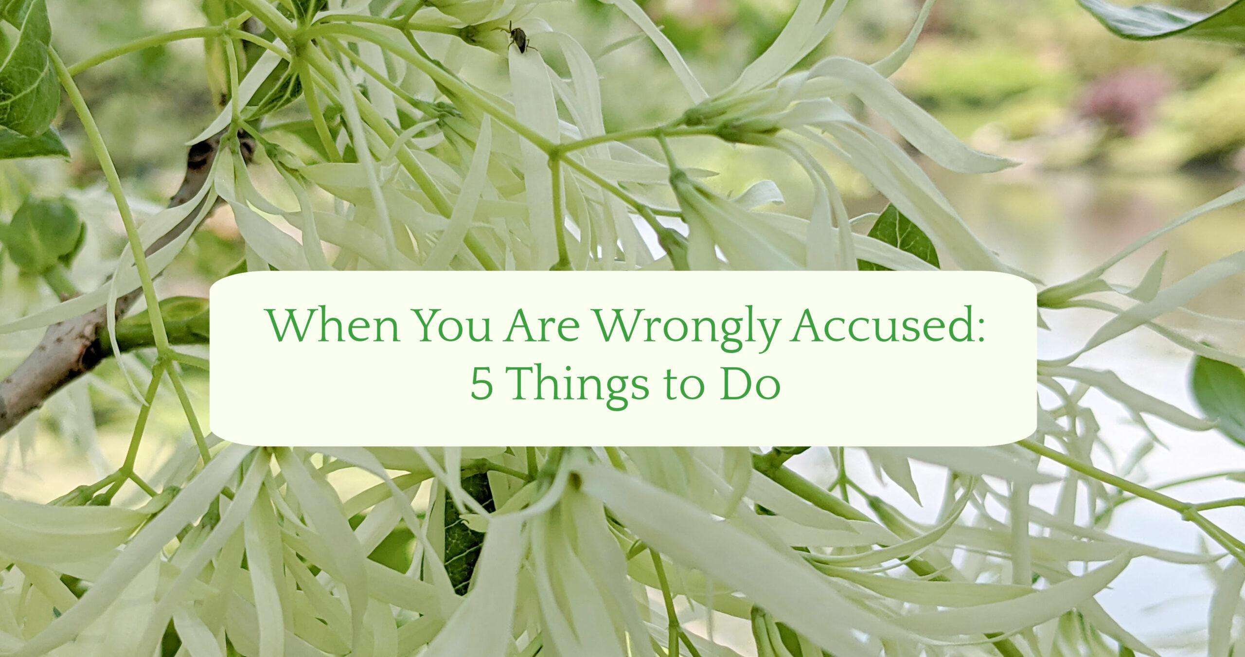 when-you-are-wrongly-accused-5-things-to-do-theresa-boedeker